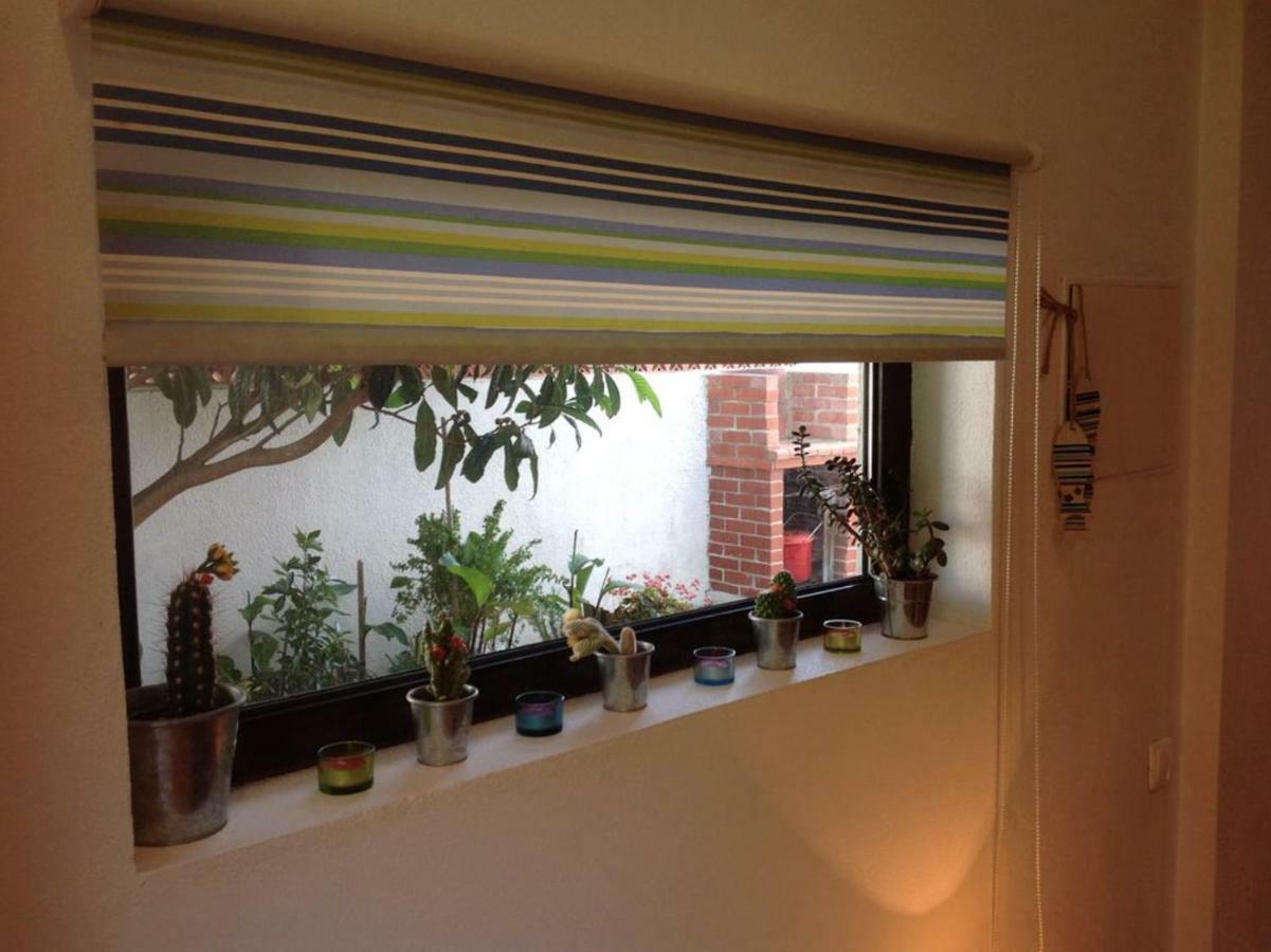 נאזרה Sitio Cozy Apartment מראה חיצוני תמונה